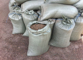 Гравий керамзитовый, фракция 10-20 мм, 12.5 кг фото 2