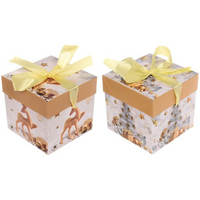 Коробка подарочная «Сказочное сияние» 10x10x10 см